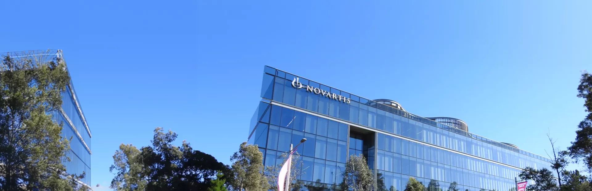 Novartis Sydney IMAGE