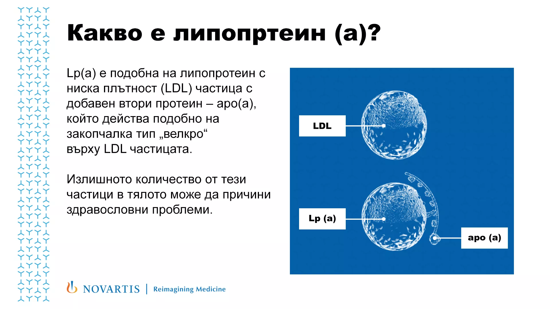 Какво е липопротеин (а)?