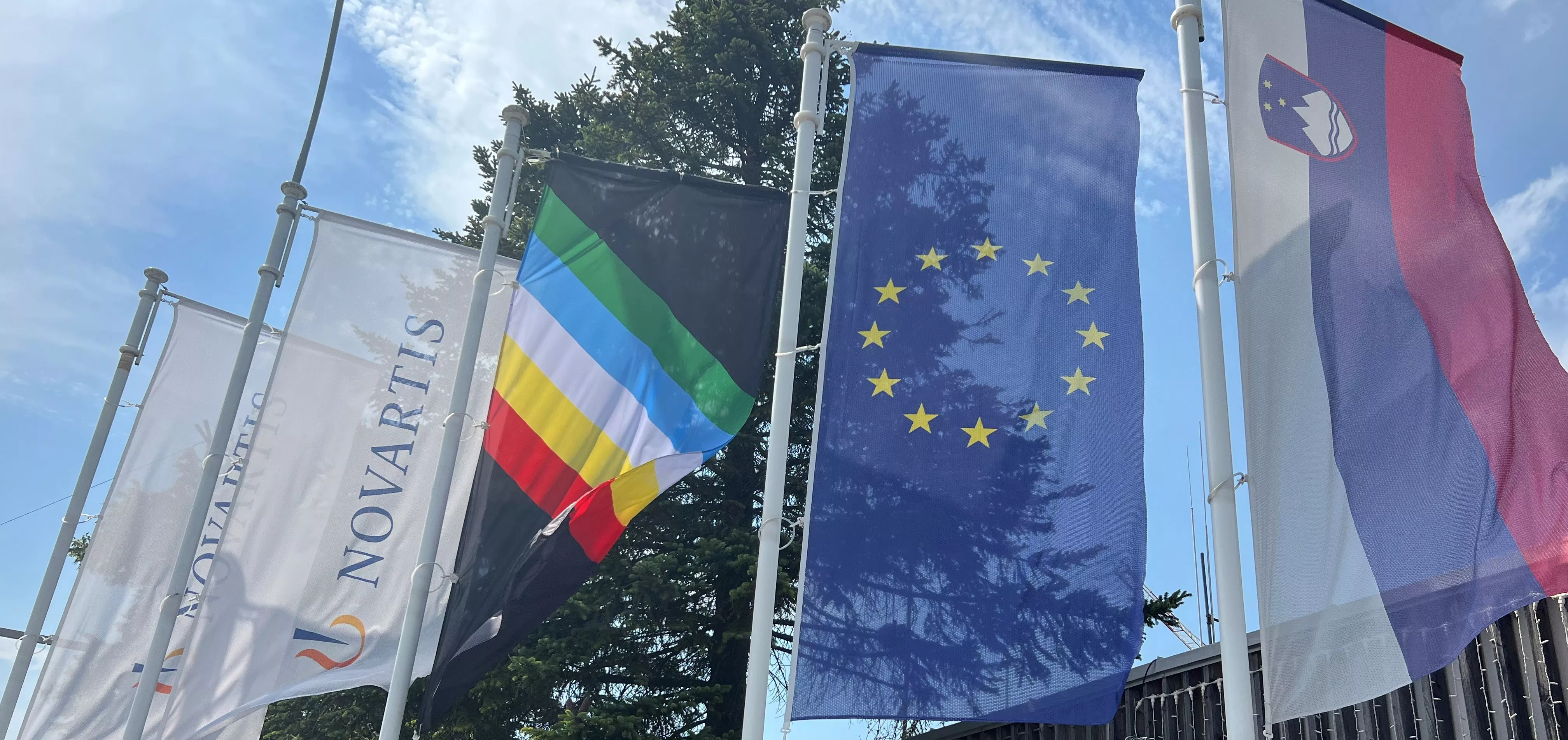 Disability Pride Month flag in front of Novartis in Mengs