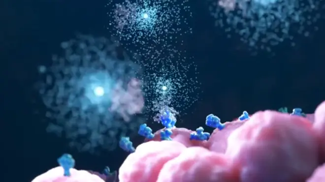 3D rendering of a radioligand therapy targeting cancer cells. Novartis is building on its pioneering work developing RLT and other therapeutic technology platforms to design the next wave of prostate cancer treatments. 3D rendering of a radioligand therapy targeting cancer cells. Novartis is building on its pioneering work developing RLT and other therapeutic technology platforms to design the next wave of prostate cancer treatments.