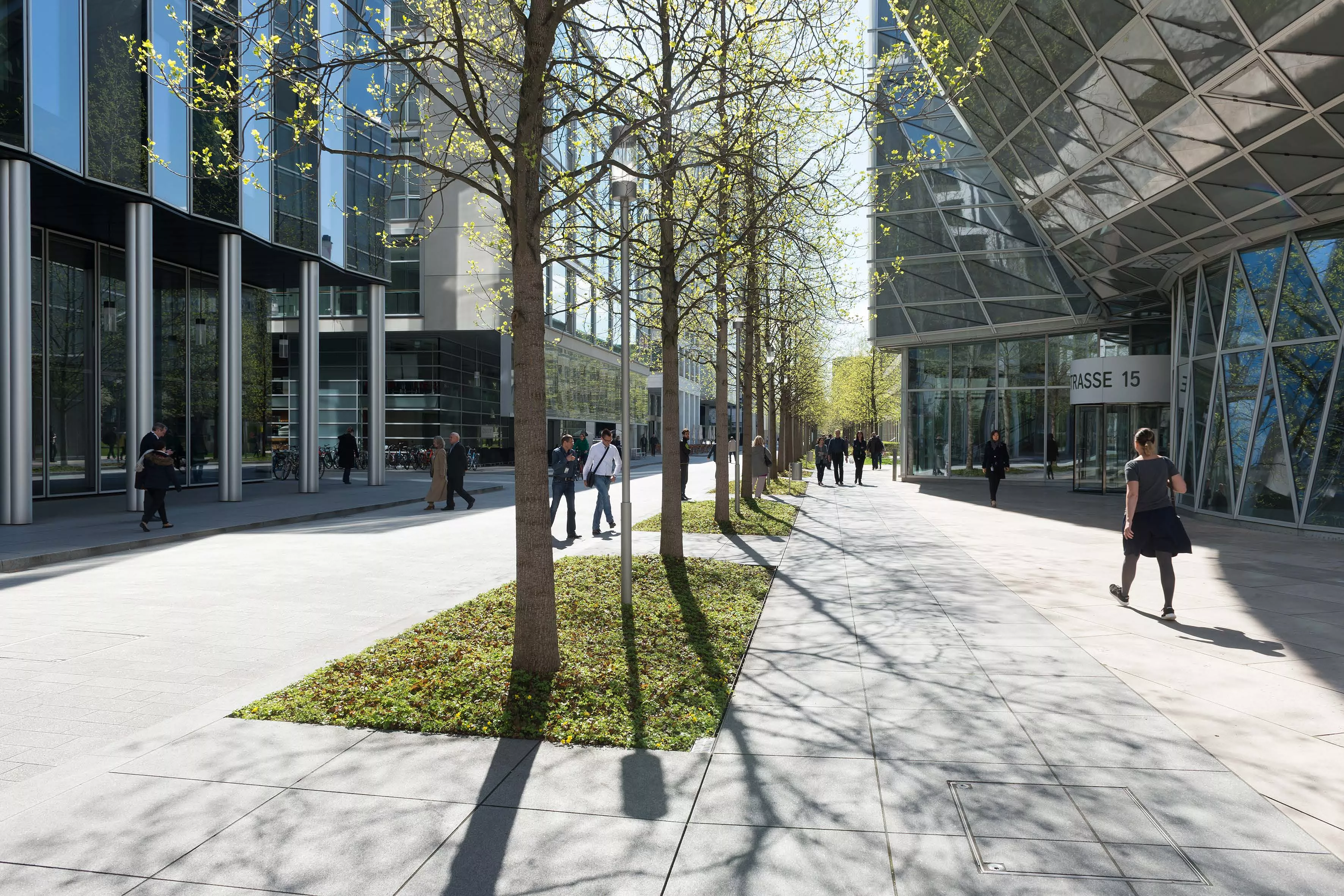 Trees casting shadows along Fabrikstrasse